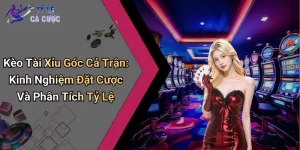 Kèo Tài Xỉu Góc Cả Trận: Kinh Nghiệm Đặt Cược Và Phân Tích Tỷ Lệ