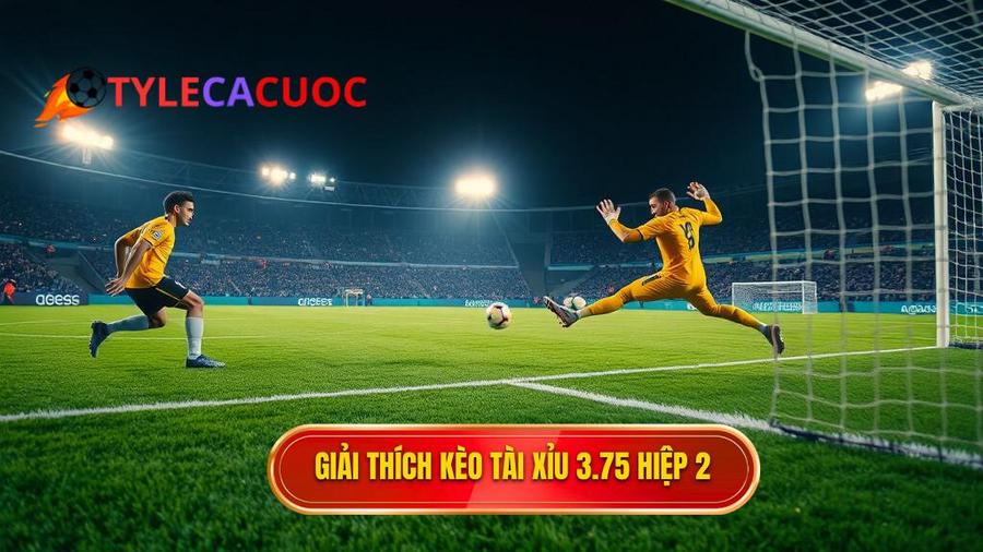 Hiểu rõ bản chất kèo tài xỉu 3.75 hiệp 2 là gì?