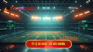 mẹo chọn kèo dựa trên thống kê sút xa