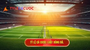 Luật bóng đá 5 người khác gì 11 người? Phân tích chi tiết từ chuyên gia