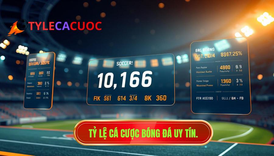 Cách đọc tỷ lệ kèo bóng đá chi tiết và dễ hiểu nhất cho người mới